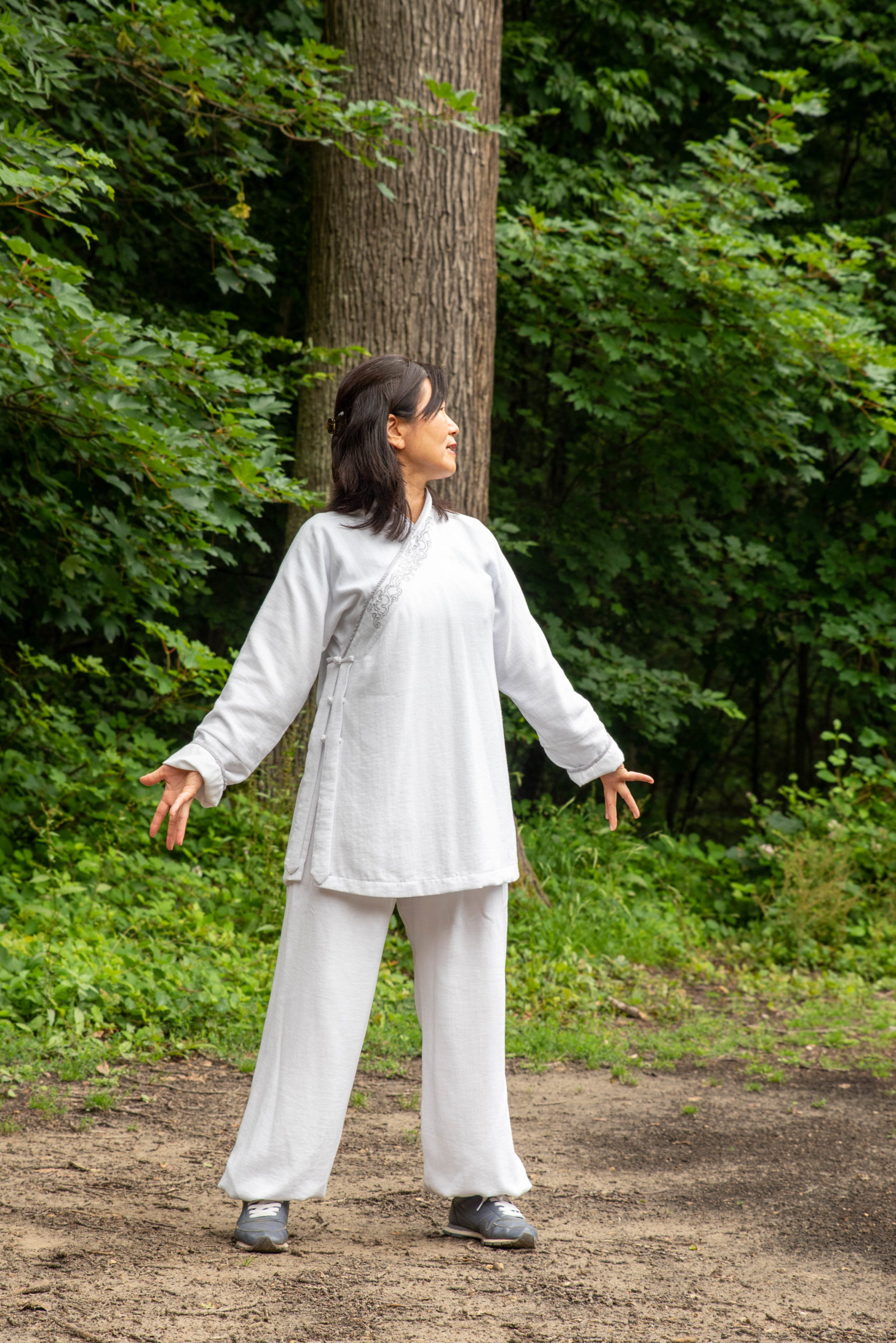 Stage Qi Gong nourrir l’énergie Yang